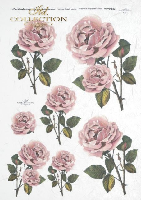 decoupage-scrapbooking-mixed-media-kwiat-kwiaty-róże-róża-ogród-R0169