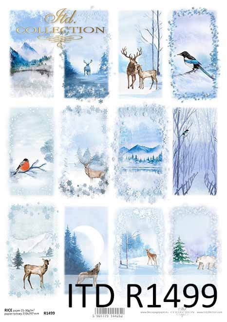 zimowe widoczki, zwierzęta, ptaki*winter views, animals, birds