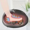 Masażer do stóp Shiatsu ProfiCare PC-FM 3099