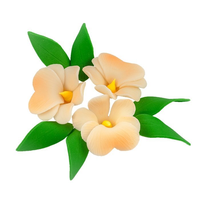 Zestaw ECRU MILTONIA z listkami