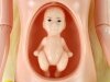 Lalka W Ciąży Mama Dziecko Lala Żółta Ciąża
