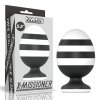 5.5 X-Missioner Butt Plug