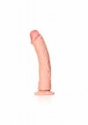 Curved Realistic Dildo with Suction Cup - 10/ 25,5 cm