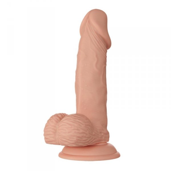 BAILE-Beautiful Zebulon 7.6&quot;&quot;&quot;&quot;