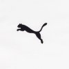 Puma t-shirt biała koszulka męska na krótki rękaw logo na piersi