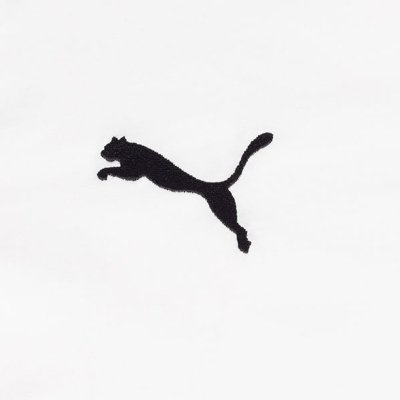 Puma t-shirt biała koszulka męska na krótki rękaw logo na piersi