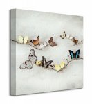Obraz do salonu - Array Of Butterflies