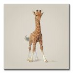 Obraz dla dzieci - Giraffe (Żyrafa) - 40x40 cm