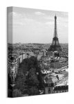 Eiffel Tower, Paris - Obraz na płótnie