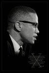 Malcolm X (Brotherhood)  - plakat