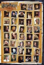 Harry Potter 7 Characters - plakat