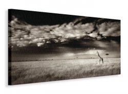 Masai Mara Giraffe - Obraz na płótnie