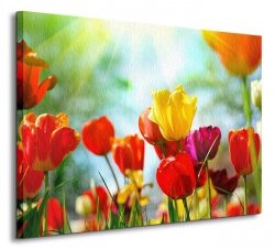 Wiosenne kwiaty - Obraz na płótnie