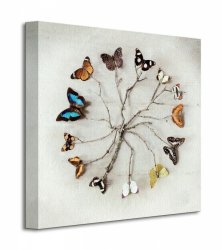 Obraz do salonu - Butterfly Harmony