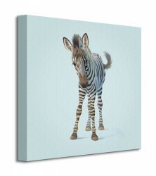 Obraz dla dzieci - Zebra - 40x40 cm