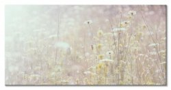 Obraz na płótnie - Łąka - Summer Meadow - 100x50 cm