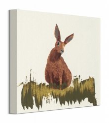 Hare - Obraz na płótnie
