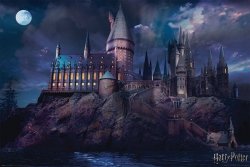 Harry Potter - Hogwart - plakat filmowy