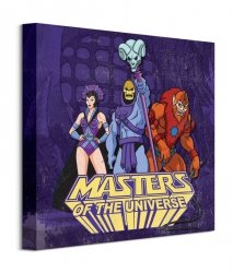 Masters of the Universe Team Skeletor - obraz na płótnie