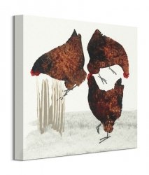 Trzy kury - obraz na płótnie