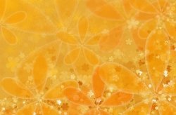 Fototapeta na ścianę - Kwiaty, pomarańcz - 175x115 cm