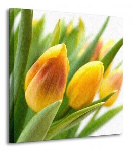 Żółte Tulipany - Obraz na płótnie
