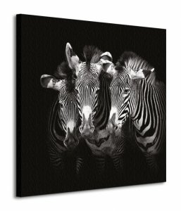Shades Of Grevy - Obraz na płótnie