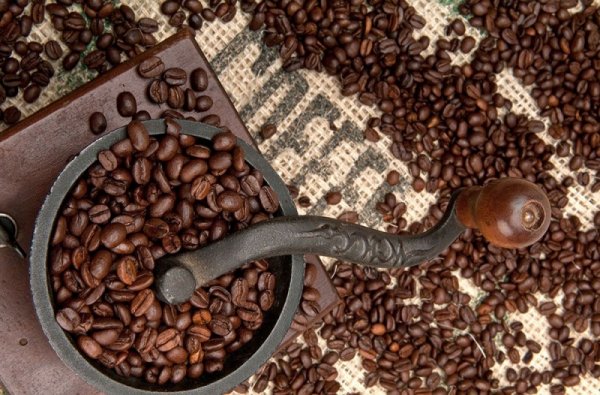 Fototapeta do kuchni - Coffee Beans and Grinder - 115x175 cm