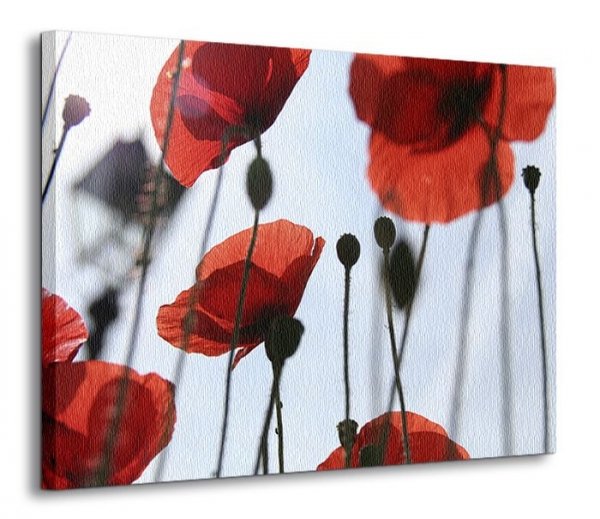 Obraz do salonu - Kwiaty - Czerwone maki - 120x90 cm - Dekoracje do domu - Sklep DecoArt24.pl