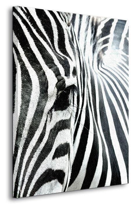 Obraz do sypialni - Zebra - 90x120 cm - Dekoracje na ścianę - Sklep DecoArt24.pl