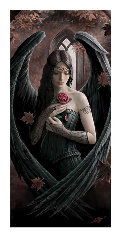 Anne Stokes (Angel Rose) - reprodukcja