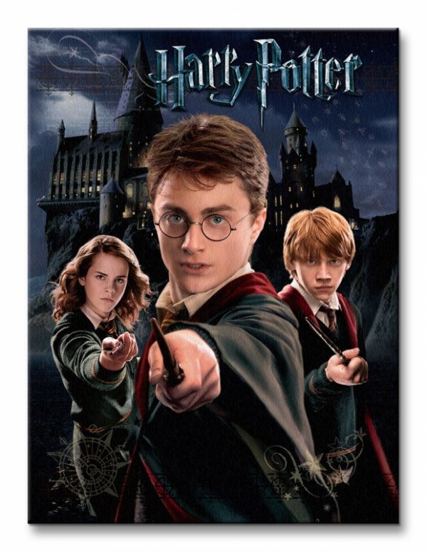 Harry Potter (Harry Ron Hermione) - Obraz na płótnie