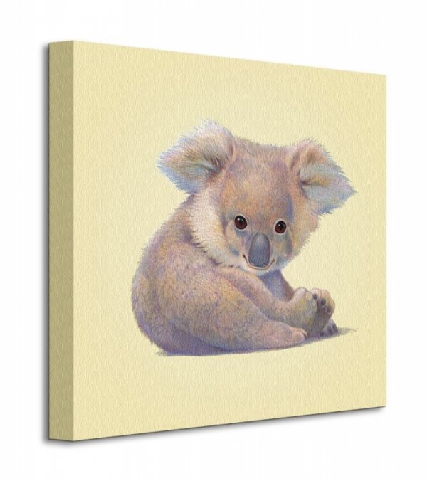 Obraz na płótnie - Koala - 40x40 cm