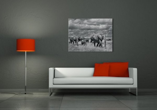 Obraz do salonu - Elephants Of Kenya - 80x60 cm