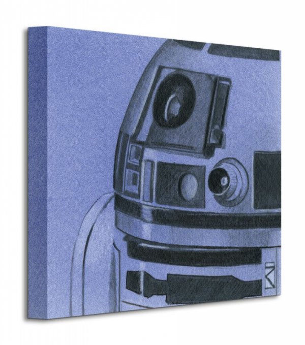 Obraz do sypialni - Star Wars R2-D2 Sketch