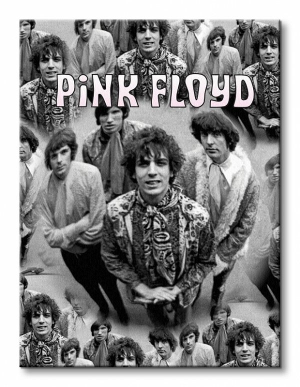Obraz na płótnie - Pink FLoyd (Piper) - 30x40cm