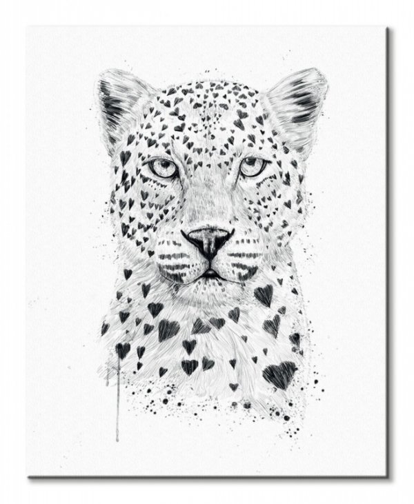 Lovely Leopard - Obraz na płótnie