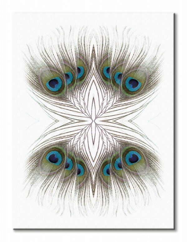 Peacock Feathers Kaleidoscope - obraz na płótnie