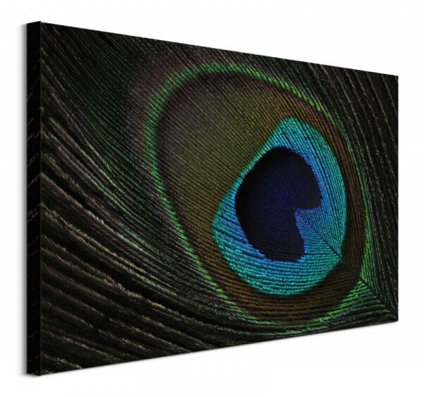 Peacock Feather Eye - obraz na płótnie