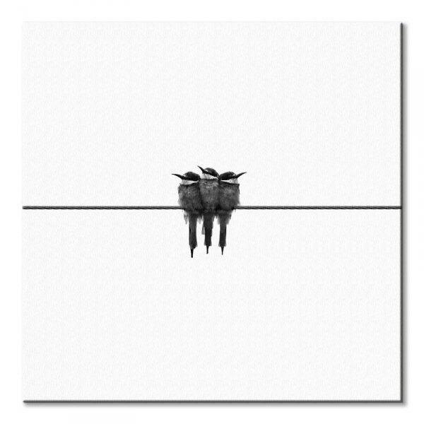 Black swallow - obraz na płótnie