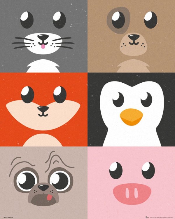 Cutest Critter Compilation - plakat