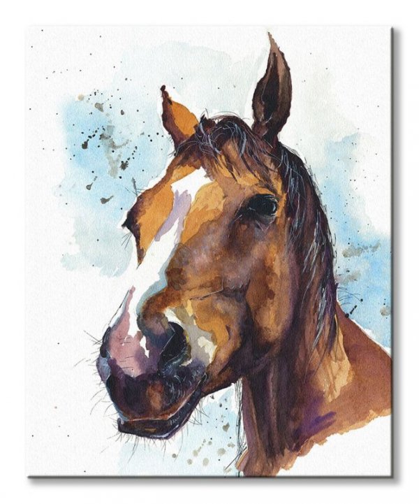 Malowany koń - obraz na płótnie