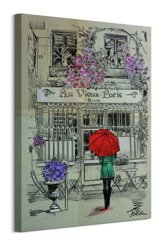 Au Vieux Paris - obraz na płótnie