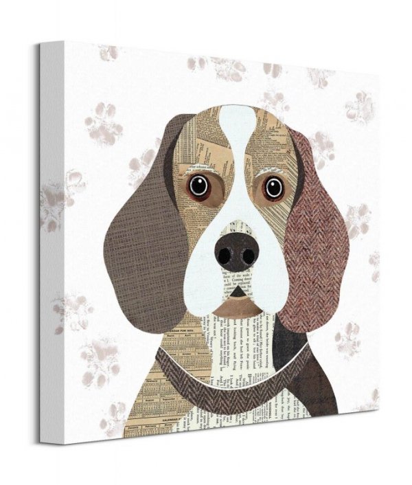Beagle - obraz na płótnie