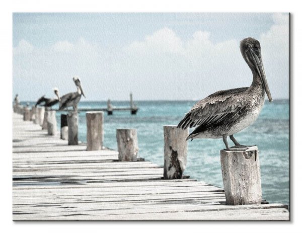 Pelikany na molo - obraz na płótnie