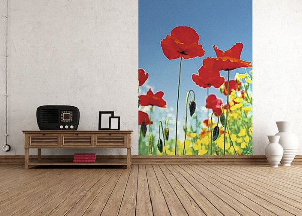 Fototapeta Maki na polu - Fototapety z kwiatami decoart24