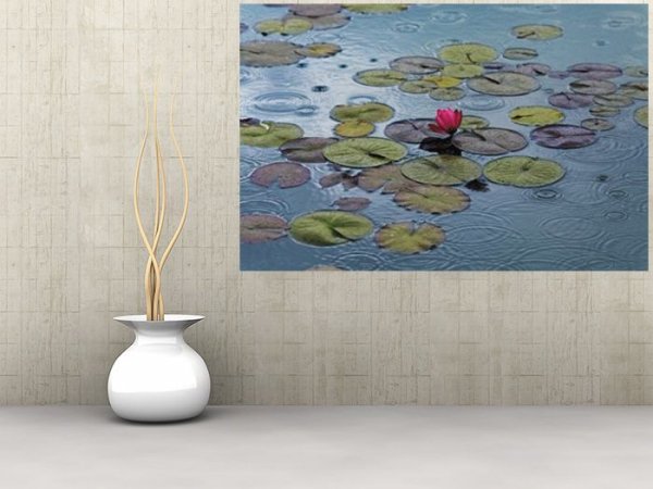 Fototapeta na ścianę - Wodna Lilia - 175x115 cm