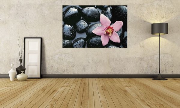 Fototapeta Kamienie i Orchidea - Fototapety sklep