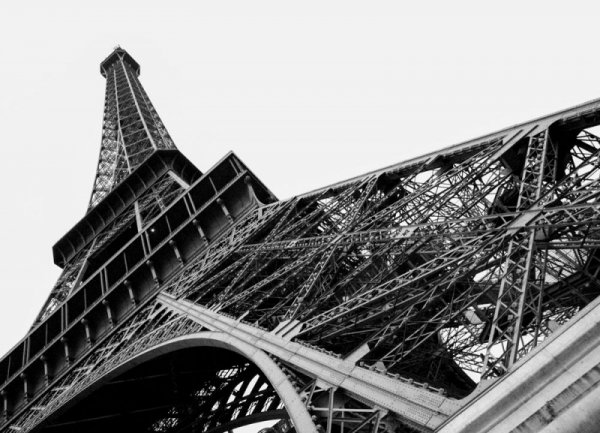 Fototapeta Paryż, wieża Eiffel - 254x183 cm - Fototapety sklep