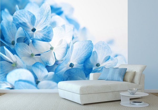 Fototapeta ścienna - Niebieskie kwiaty - 183x254 cm